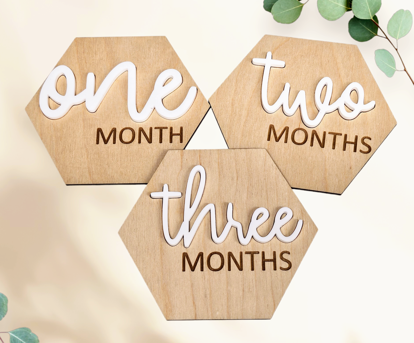 Baby Monthly Milestone Disc Set
